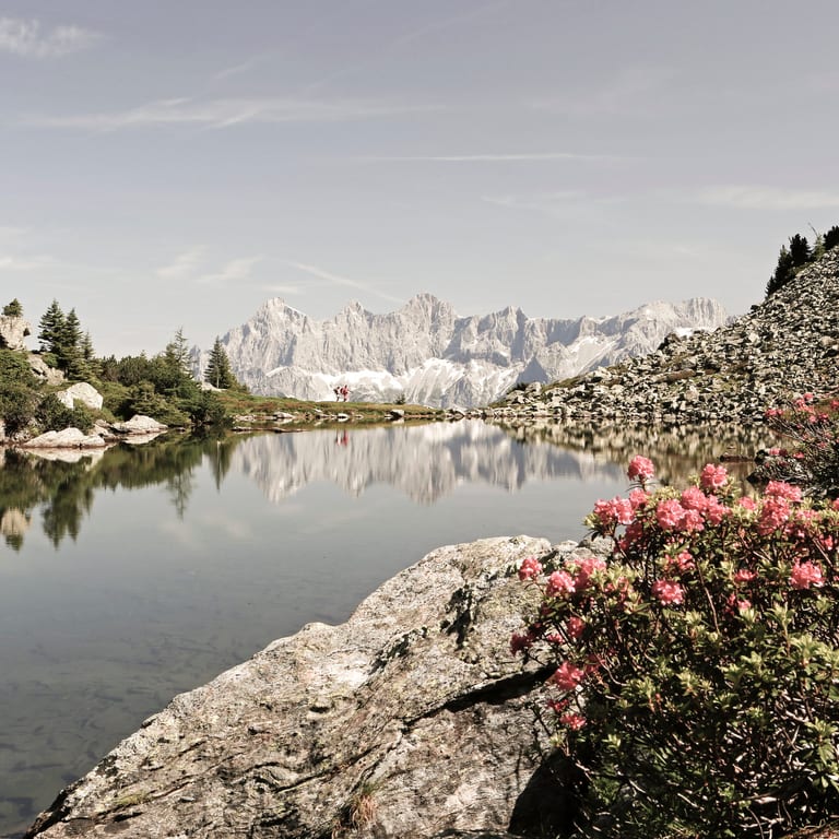 Höflehner Blog - Badepralinen 