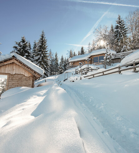 Sixty Plus Winterpauschale Höflehner